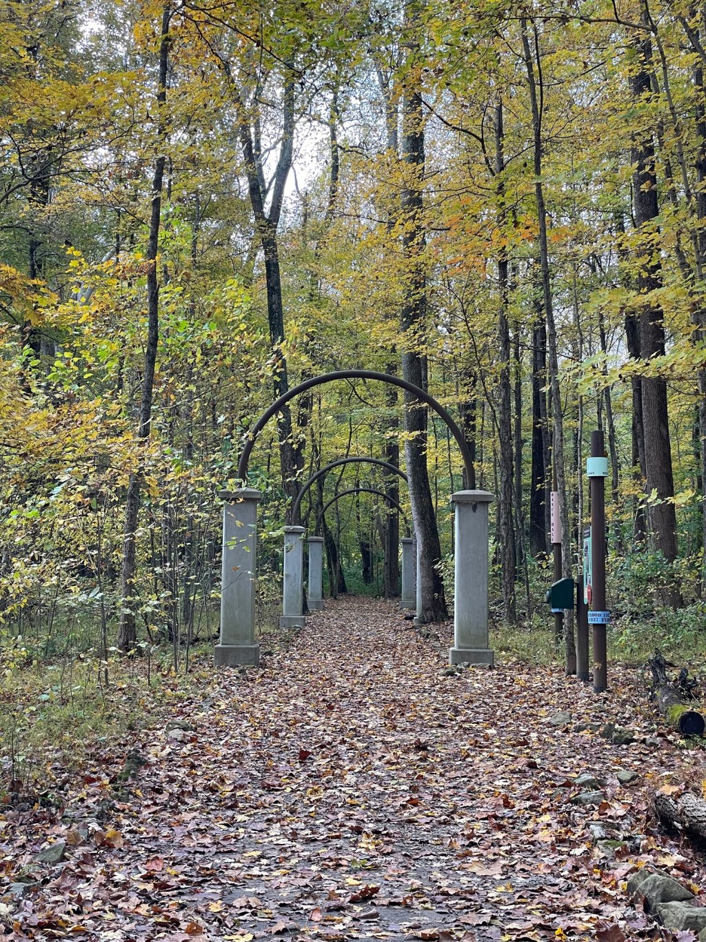 Either cold or wet, but not both&nbsp;please