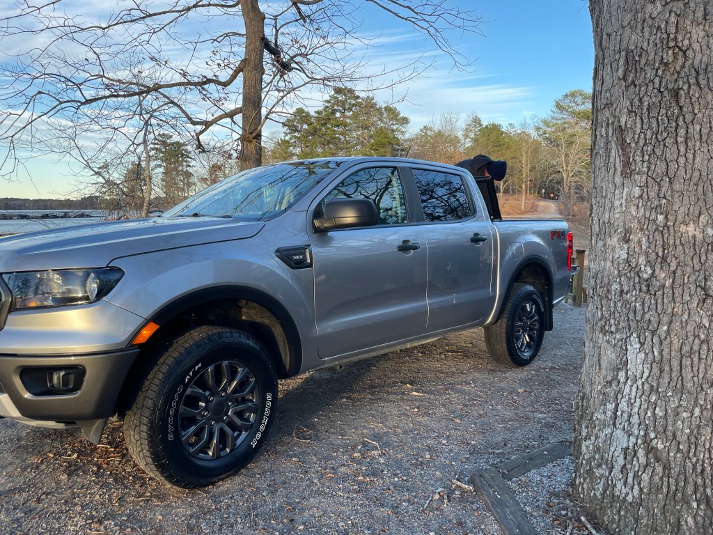 What a curious life we have found here&nbsp;tonight