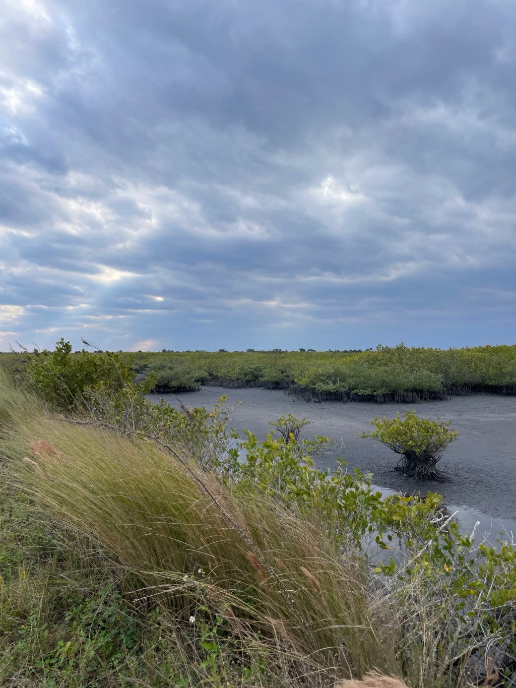 Fancy Pants Florida – Part&nbsp;1