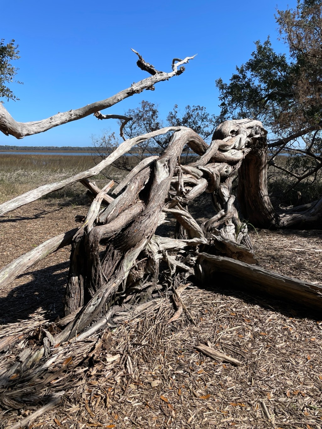 He was in full-on attack&nbsp;mode