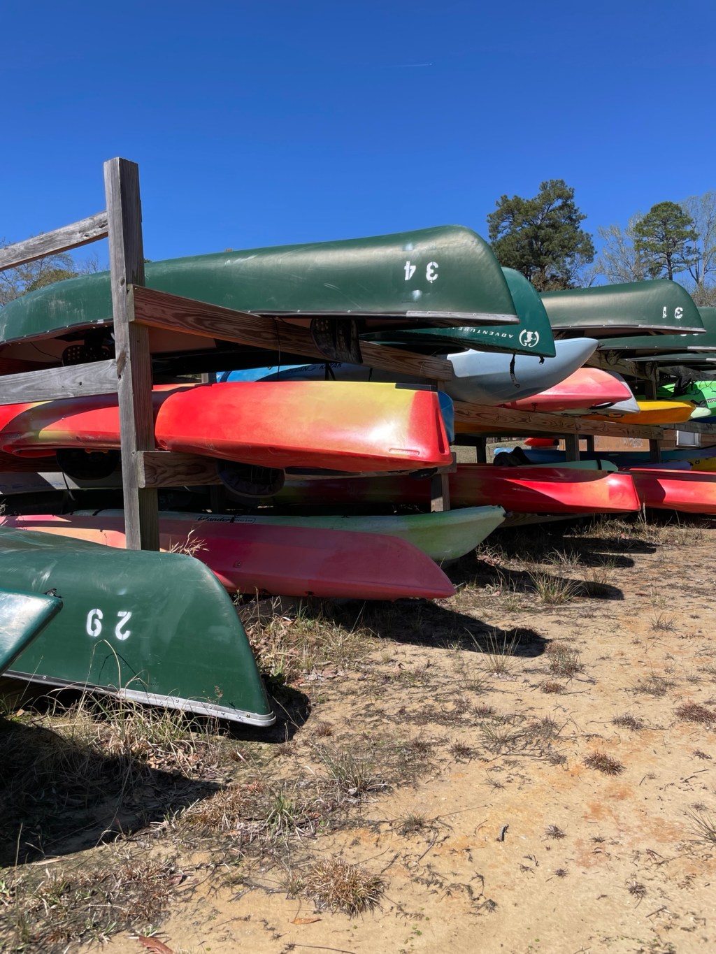 The Rest of the (South Carolina) Story