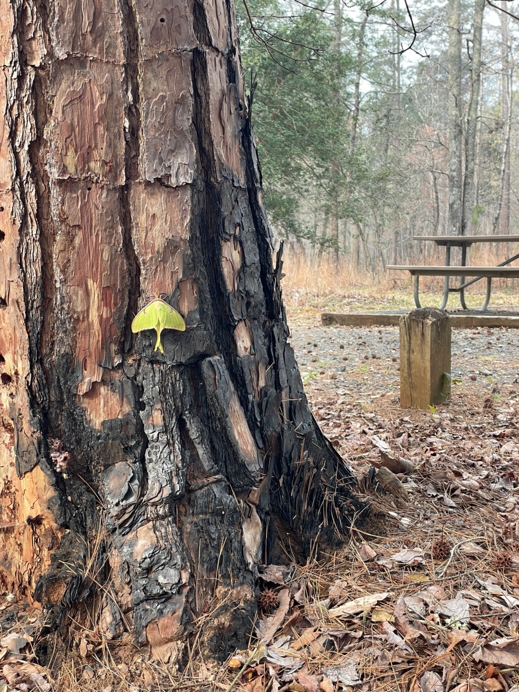 Drive it, hike it, bike&nbsp;it