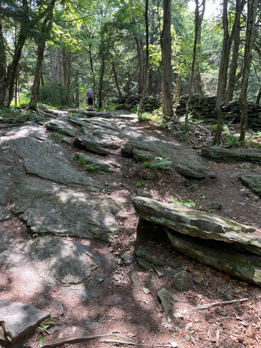 New Hampshire, Month 2 in (mostly)&nbsp;Pictures